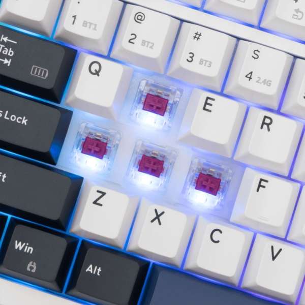 White Shark Excalibur Gaming Wireless Bluetooth Keyboard White US