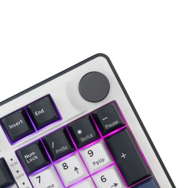 White Shark Excalibur Gaming Wireless Bluetooth Keyboard White US