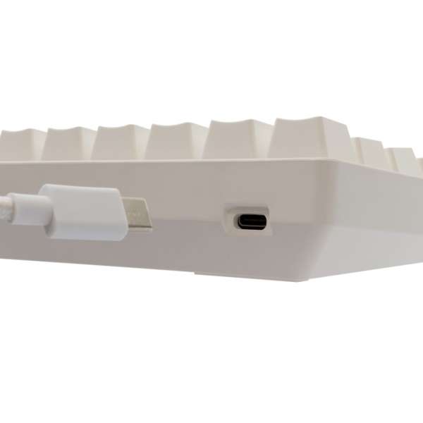 White Shark Shinobi 2 RGB Gaming keyboard White US