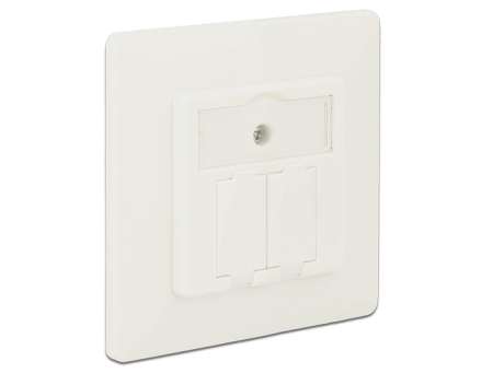 DeLock Keystone Wall Outlet 2 Port compact DeLock Keystone Wall Outlet 2 Port compact