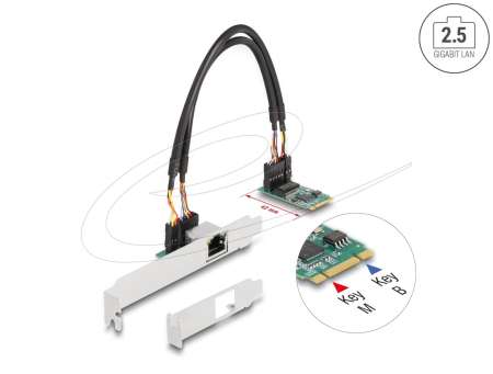 DeLock M.2 Key B+M 1 x RJ45 2,5 Gigabit LAN