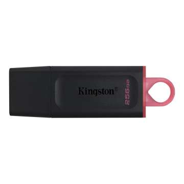 Kingston 256GB DataTraveler Exodia Black/Pink