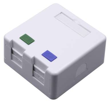 Nestron Keystone fali aljzat, felületre szerelhető; 2 portos; árnyékolatlan; 90°/180° keystone kompatibilis