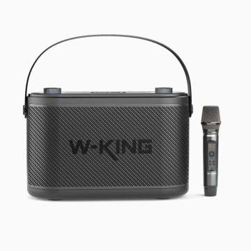 W-King H10 Bluetooth Speaker Black